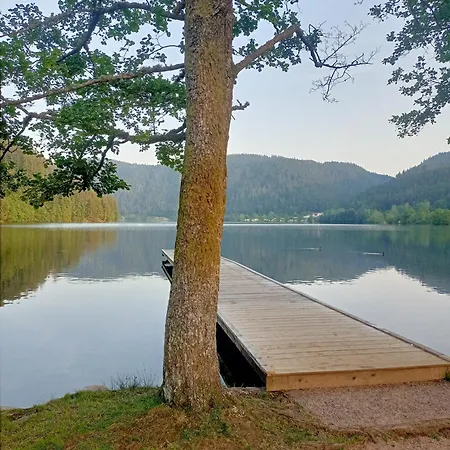 Even Chalet Xonrupt-Longemer