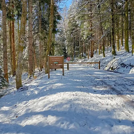 Even Chalet Xonrupt-Longemer