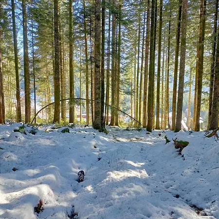 Alpesi faház Even Xonrupt-Longemer